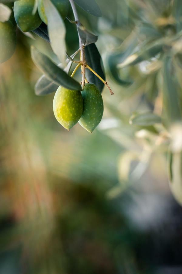 Διαμερίσματα Ανθός Λιμένας Εξωτερικό φωτογραφία
